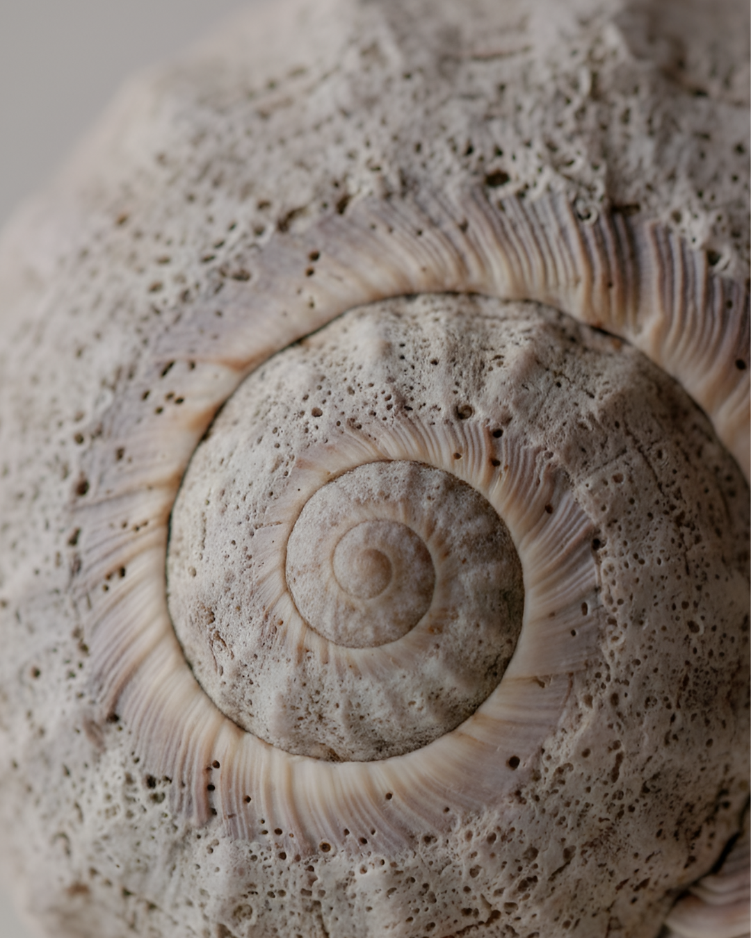 Approche structurée - langage clair et accessible sans jargon ésotérique