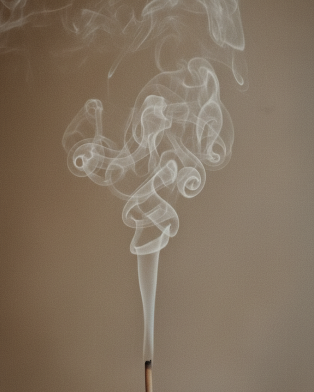 Portrait spiritualité Framae - sens profond des expériences de vie