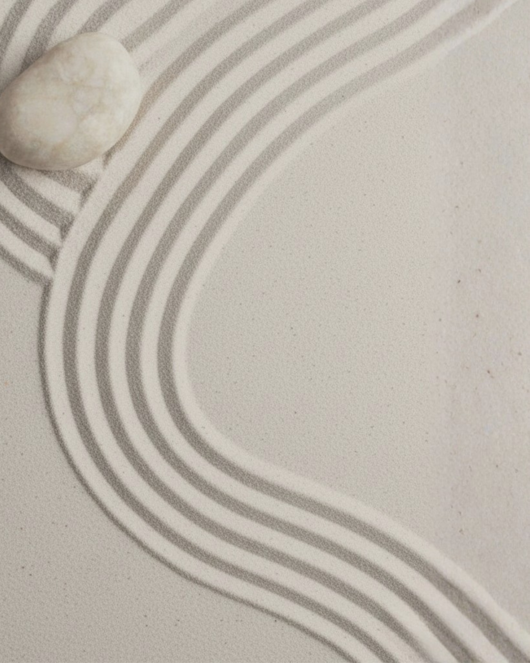 Portrait relations sociales Framae - comprendre ses rapports aux autres